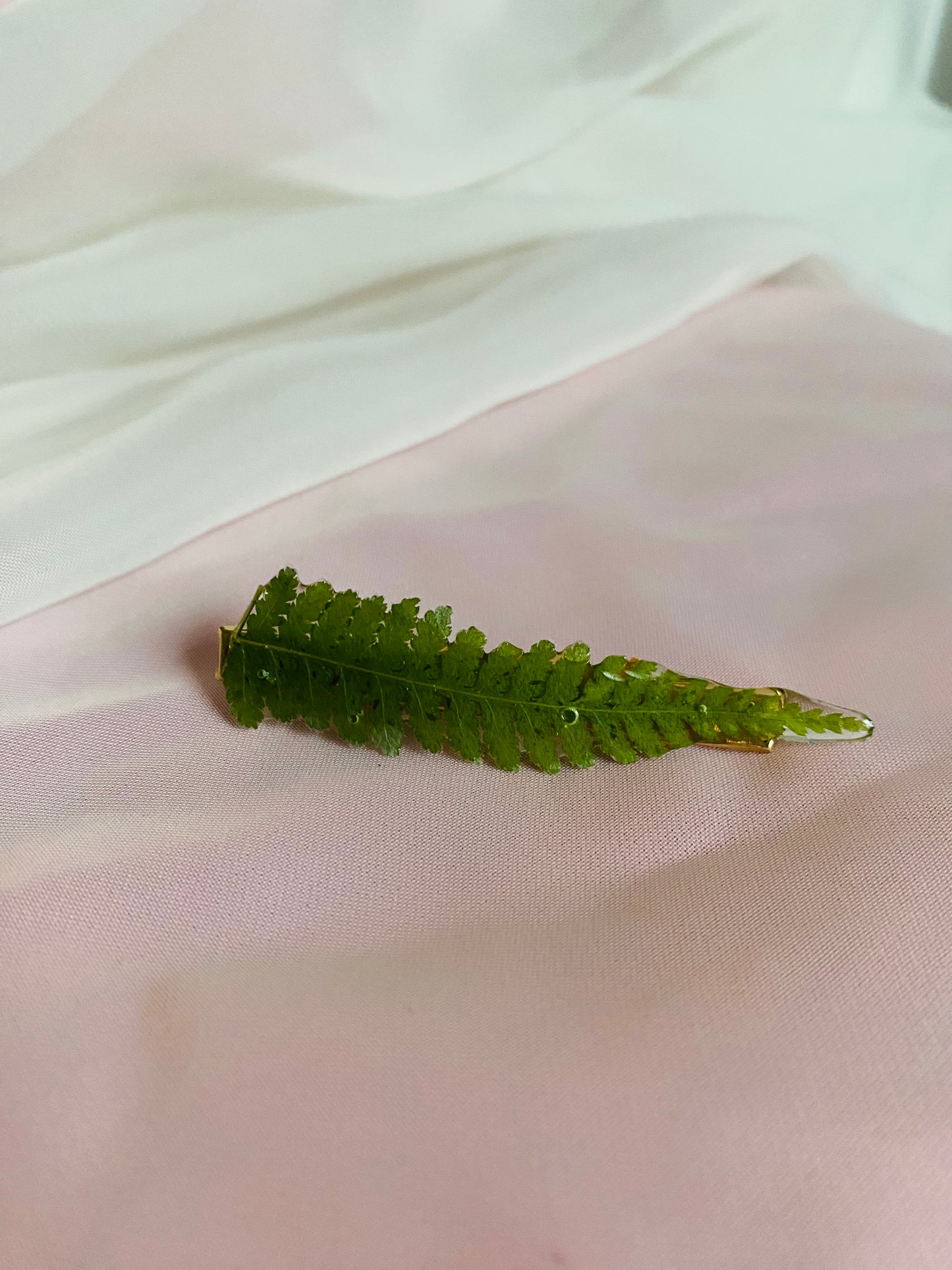 Fern Clip