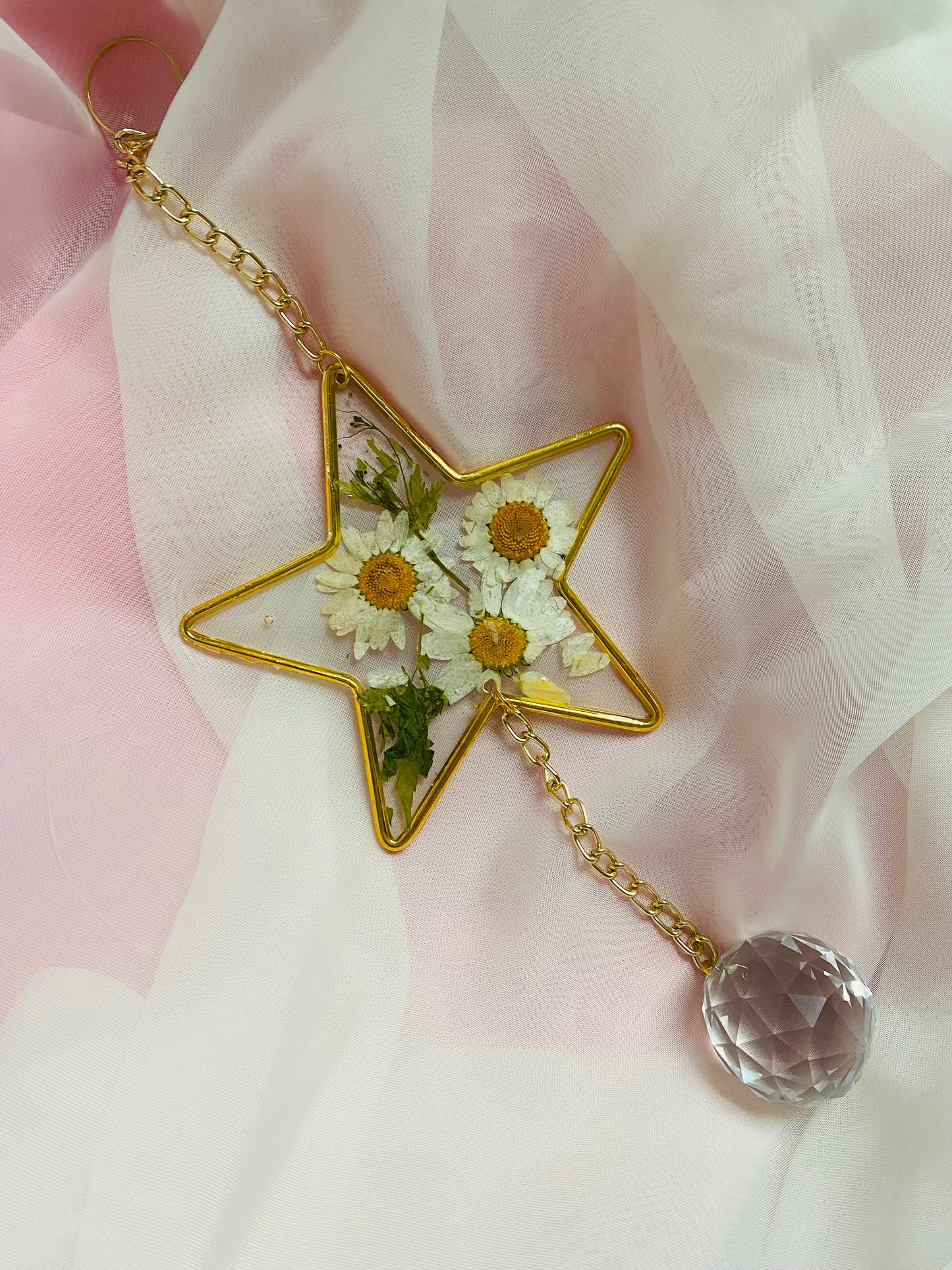 Daisy Star