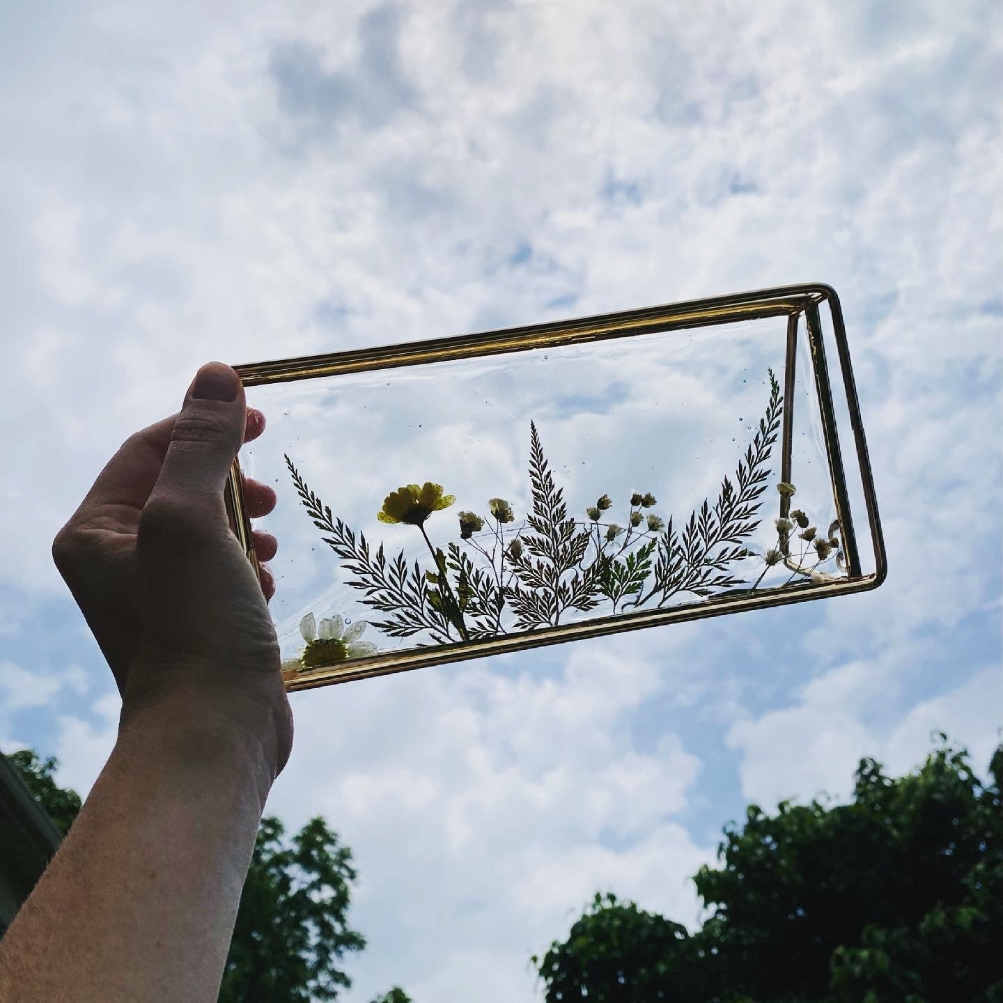 Custom Flower Frame
