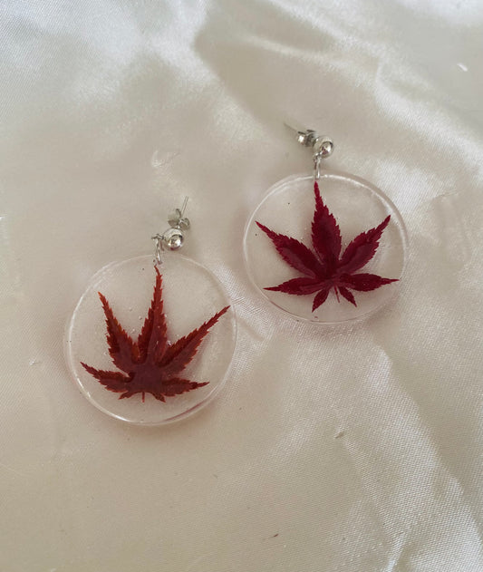 Maple Leaf