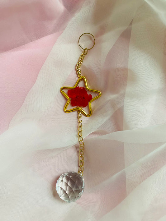 Mini Red Hydrangea Star