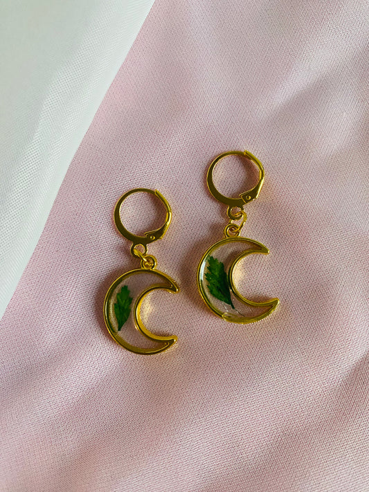 Fern Moon