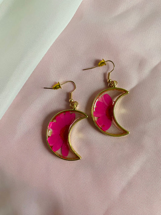 Hot Pink Daisy Moons
