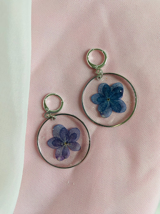 Hydrangeas